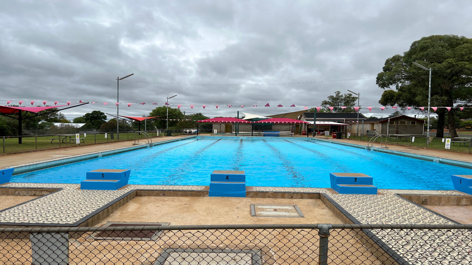 Dundedoo Pool From Starting Blocks 