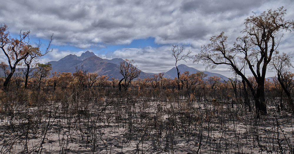 Bush Fire Prone.jpg