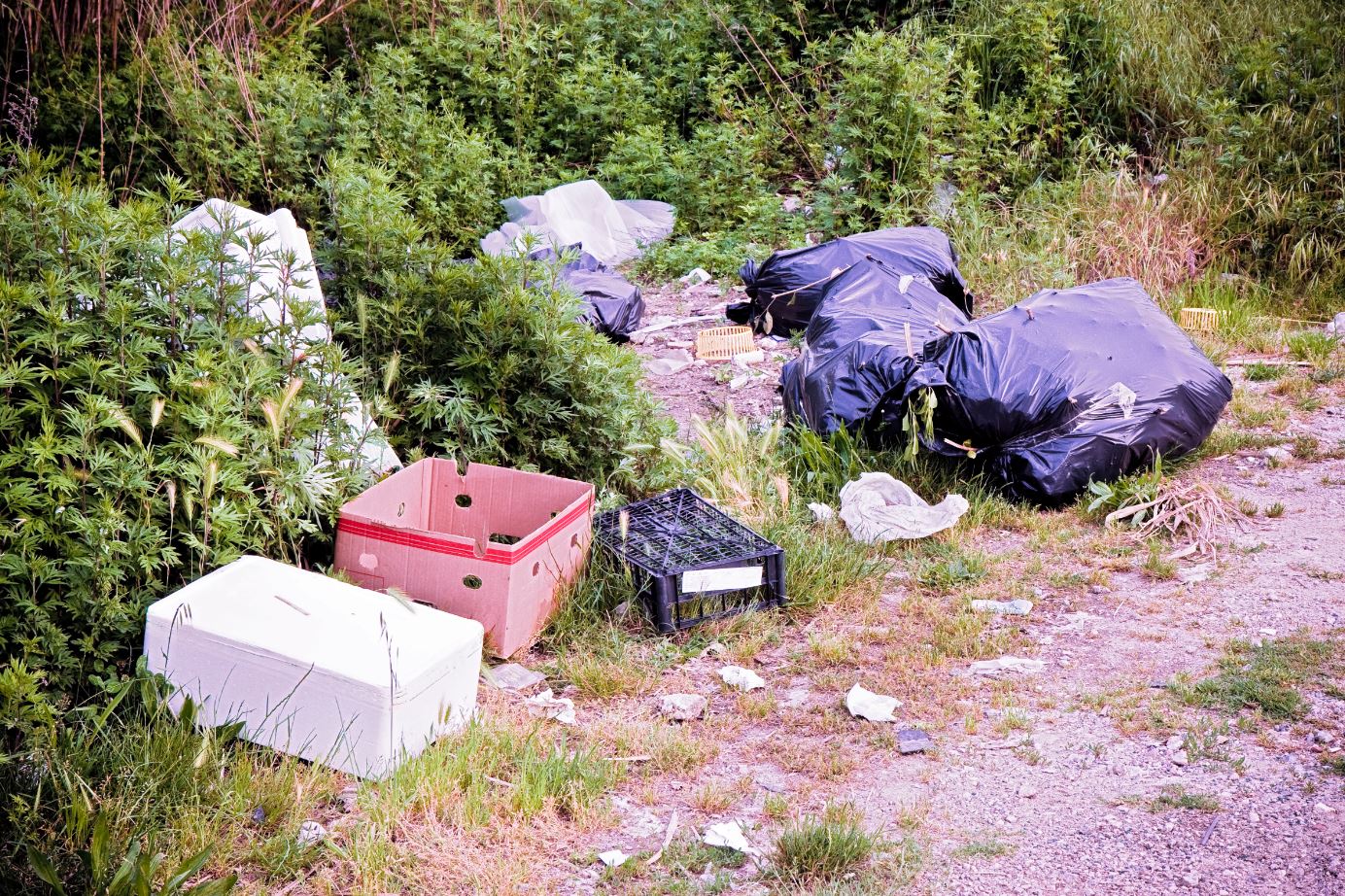 Illegal Dumping 