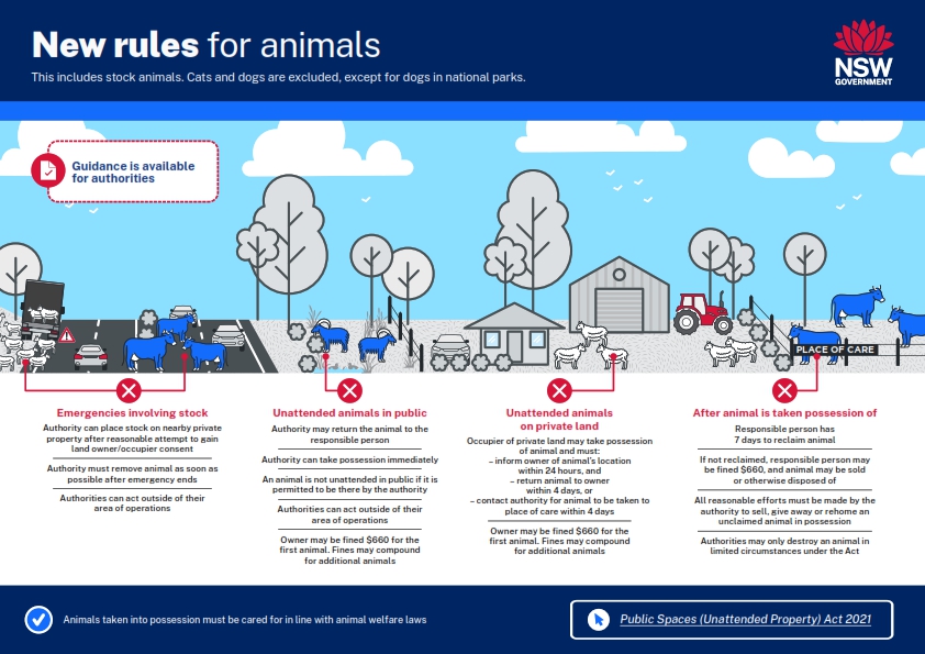 Infographic Animals Unattended Property