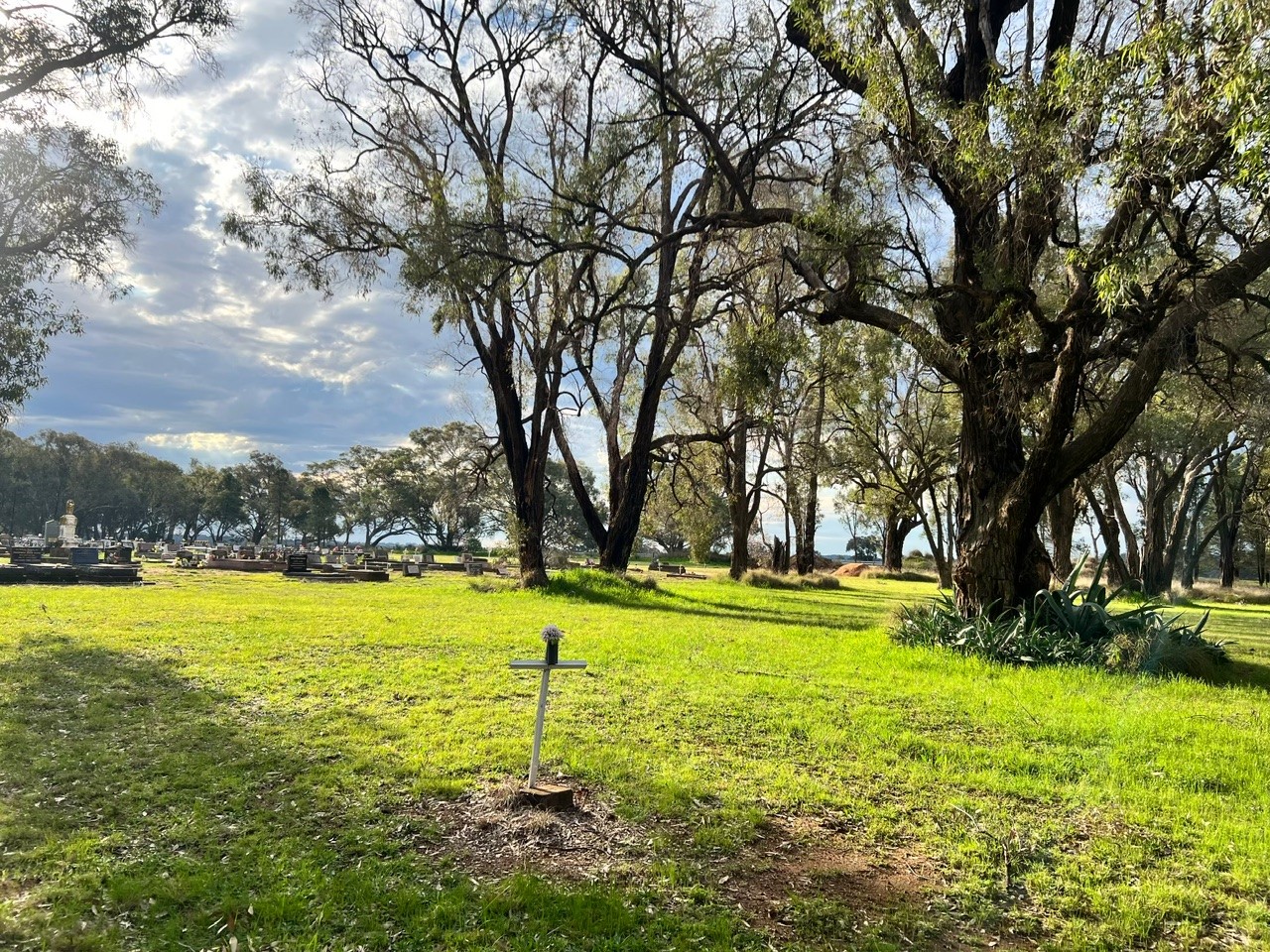 Binnaway Cemetery.jpg