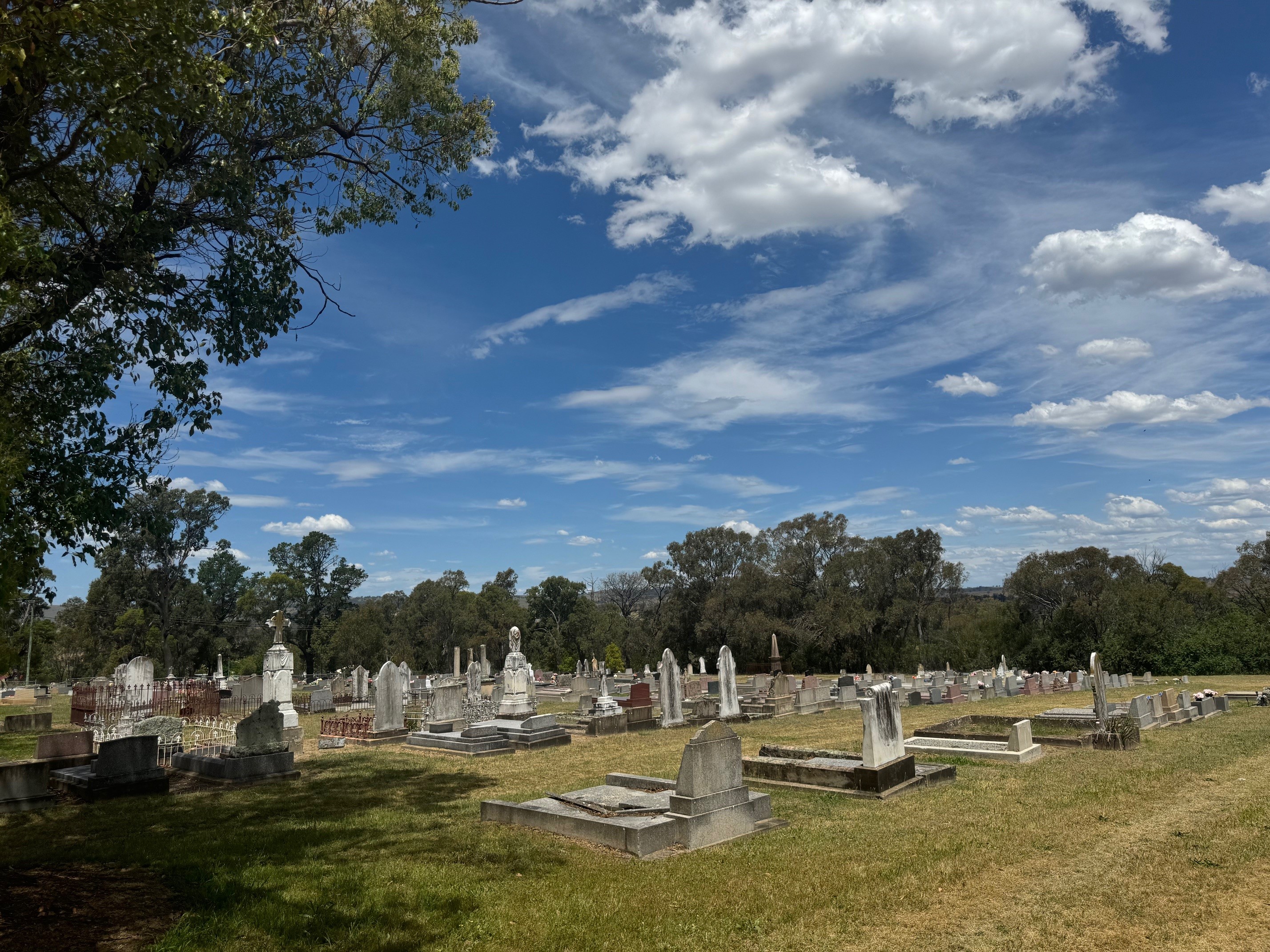 Coolah Cemetery.jpg